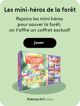 Image du coffret des mini-héros de la forêt