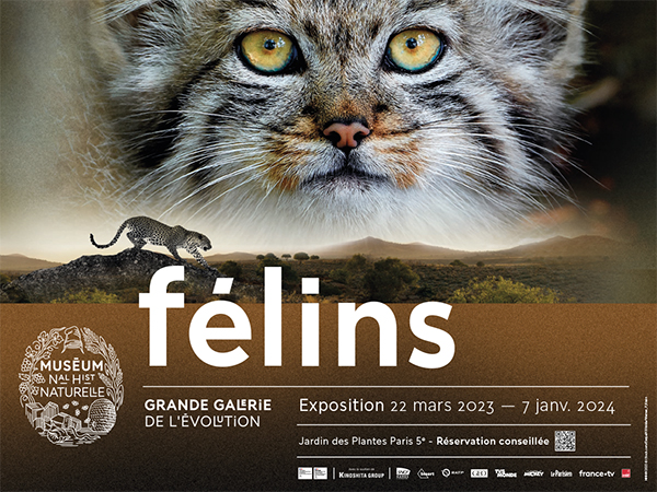 Affiche de l'exposition FÉLINS