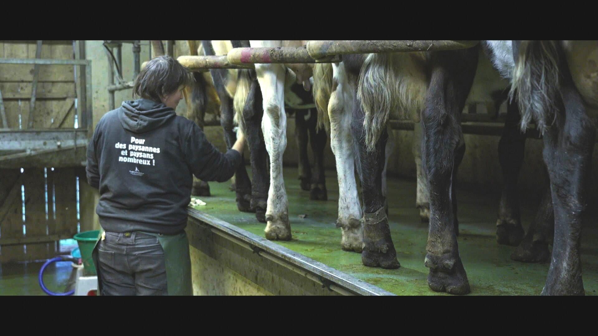 5560da0d-dd45-408b-8e7d-bbe9059457b2