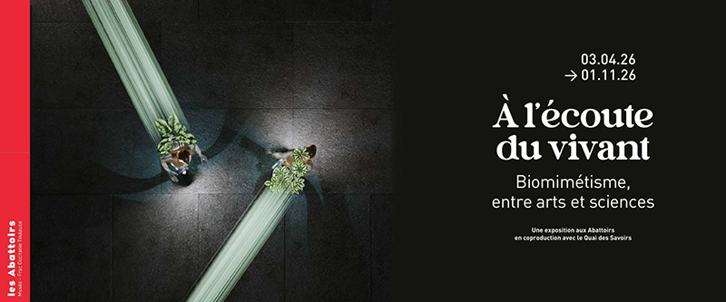 À l’écoute du vivant : Biomimétisme, entre arts et sciences