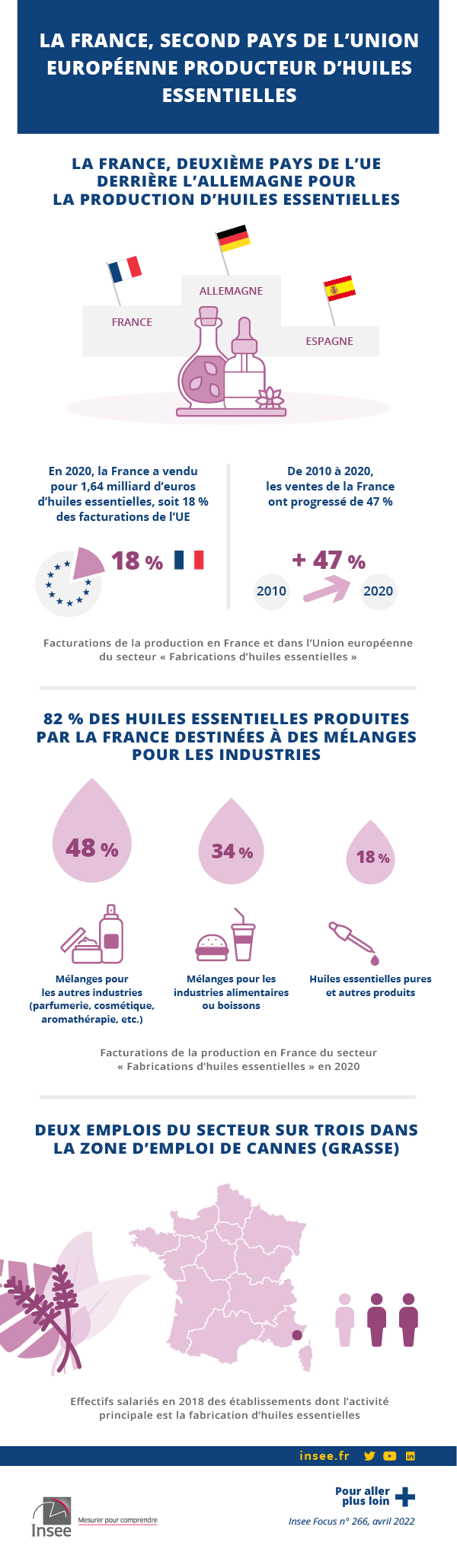 Cartographies publiées par l'INSEE évoquant la seconde place de la France pour la production d'huiles essentielles au sein de l'Union européenne
