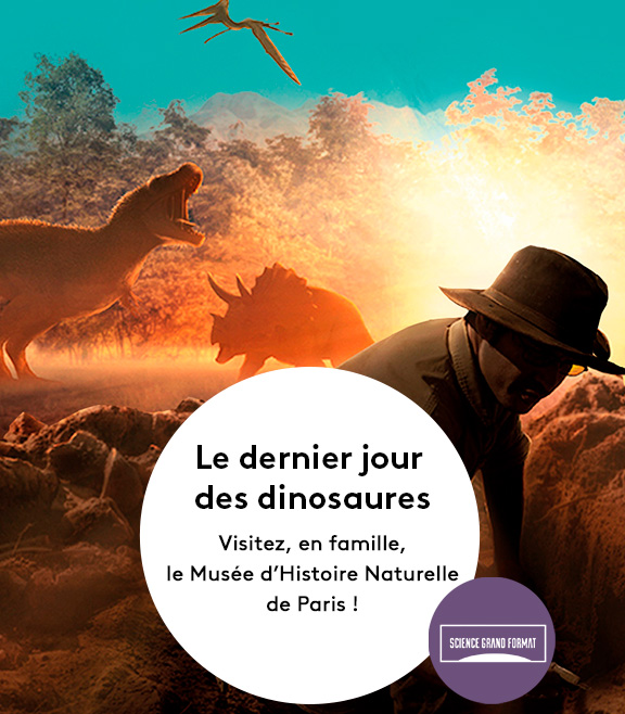 Le dernier jour des dinosaures : Jouez avec le Club France TV