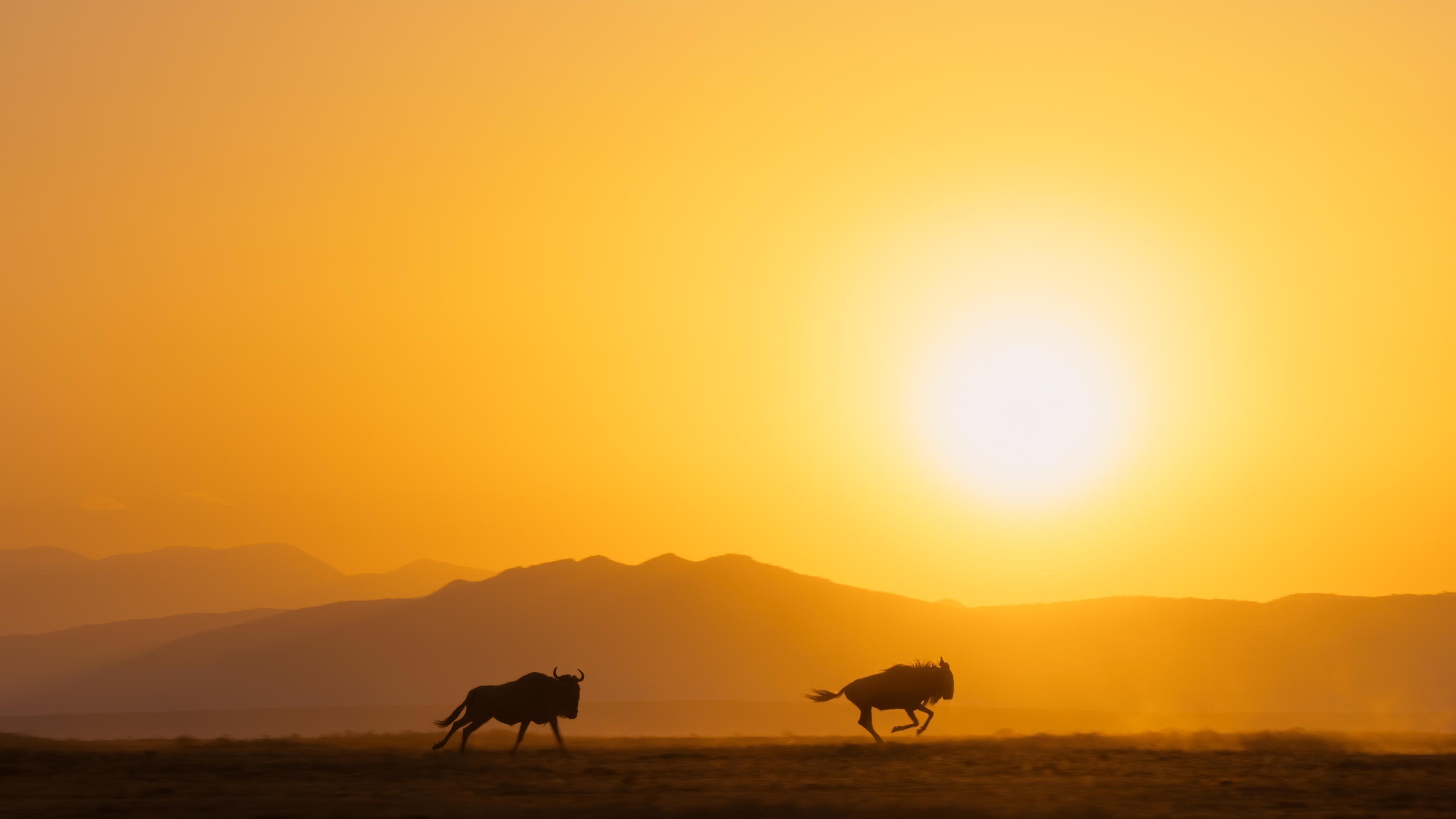 Perfect_Planet_The_Sun_02_017_Screengrab