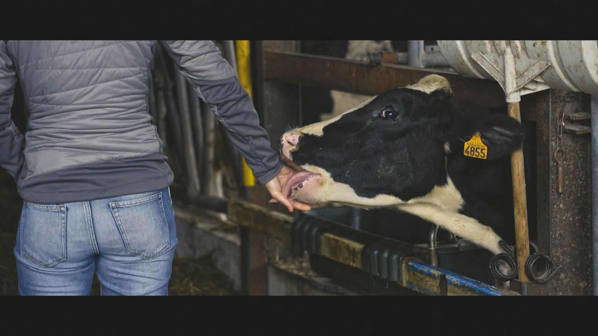 aeeae969-e0f6-4646-b63d-60022cf0ecce