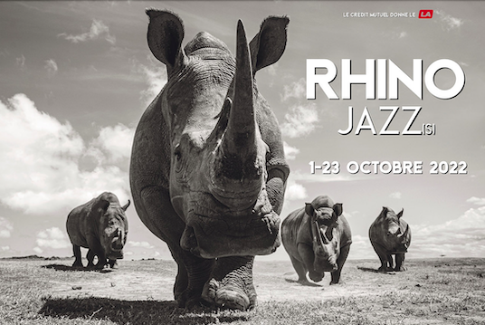 rhino jazz