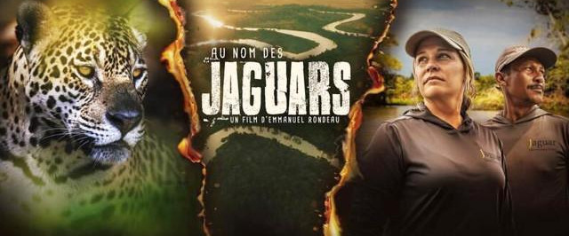 Au nom des jaguars