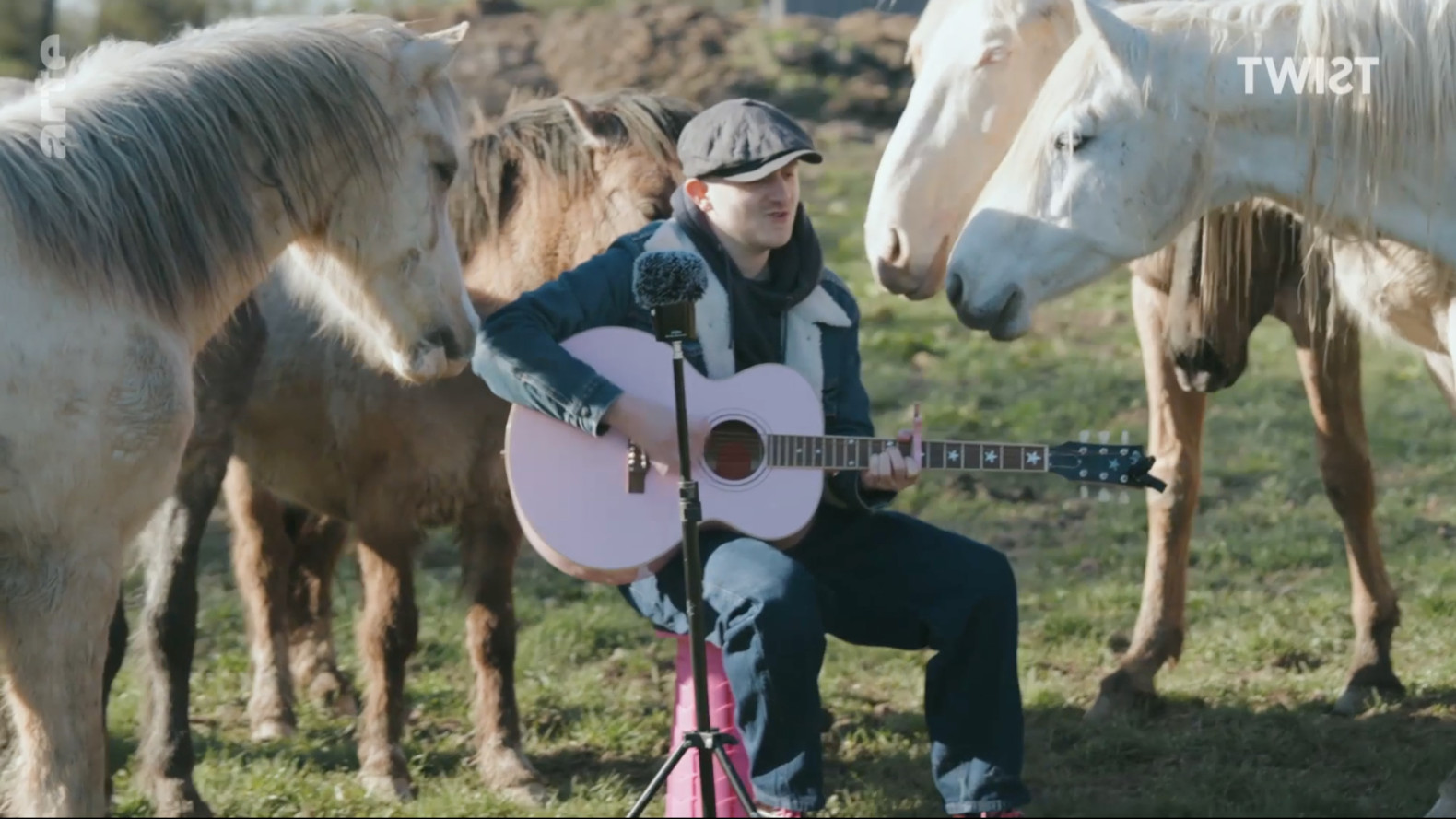 Le chanteur pour animaux Plumes.
