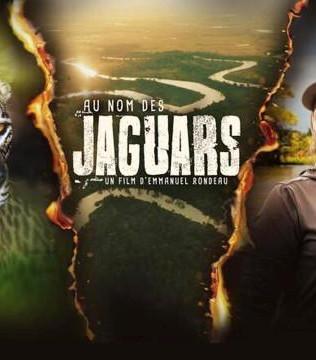Au nom des jaguars