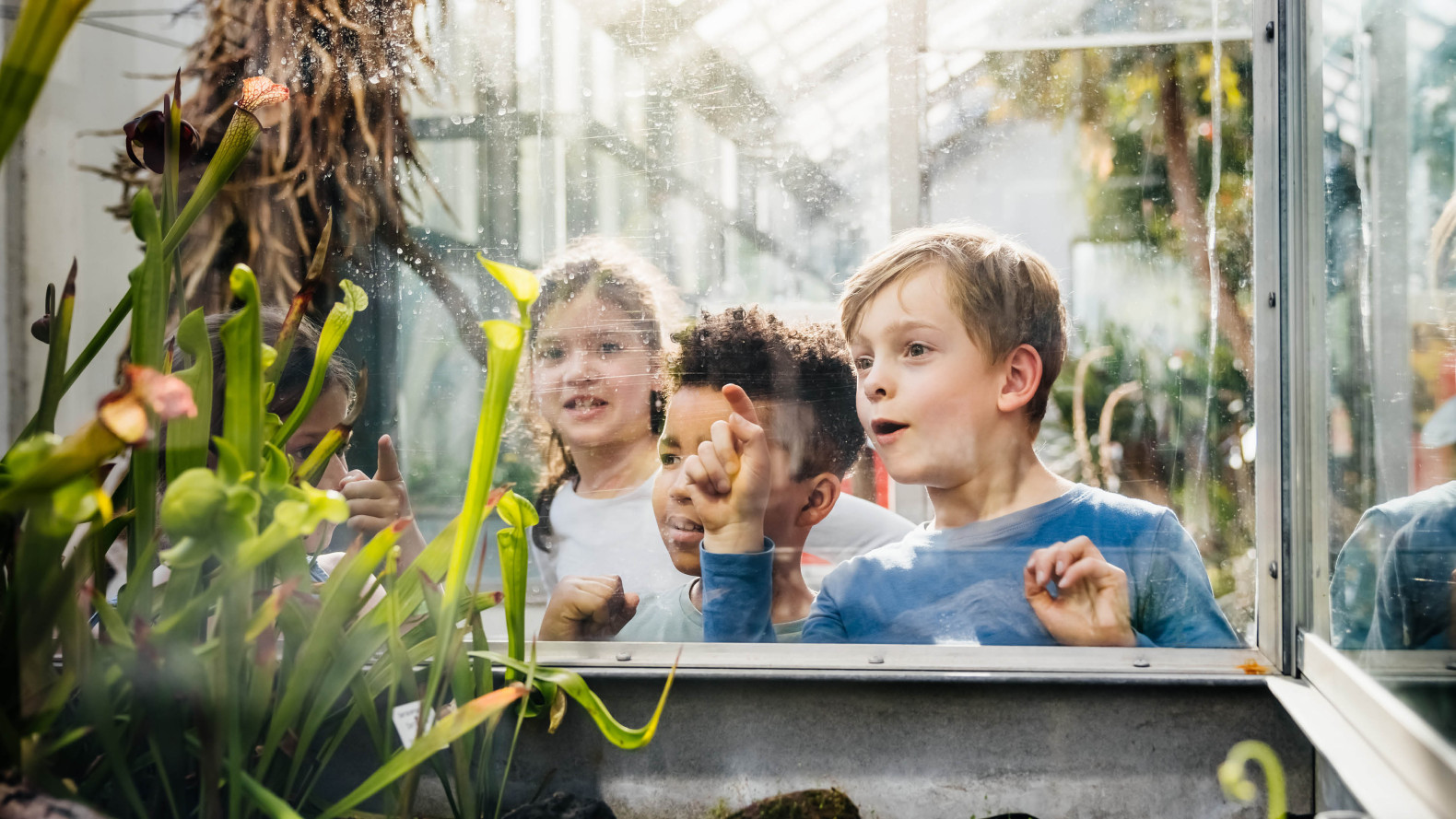 éveiller la curiosité dès le plus jeune âge
