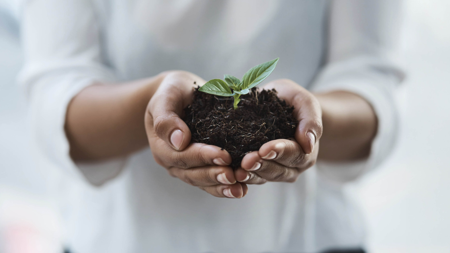 plan de transition écologique