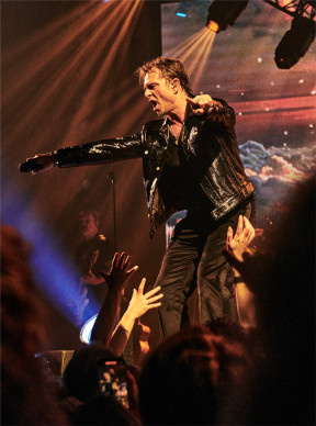 David Hallyday, Requiem pour un fou