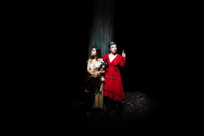 Birds On ABirds On A Wire Wire