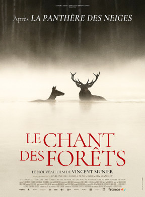 Le Chant des forêts