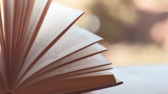 Salon du livre 2019