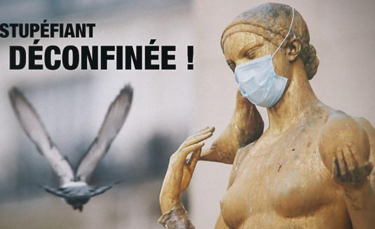« Le Doc stupéfiant : La Culture confinée »