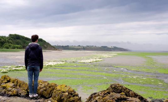 Photo d'une plage bretonne recouverte d'algues vertes