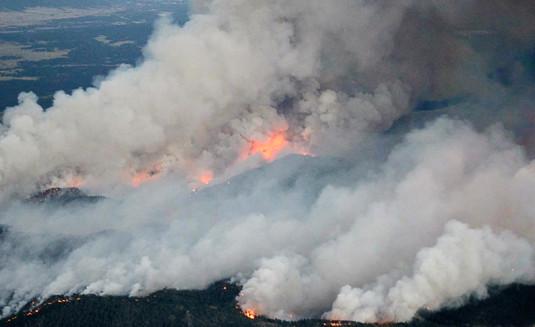 Photo d'un incendie de forêt
