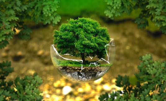 La Jour de la Terre