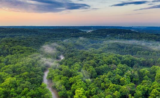 Guyane , l'Amazonie sous surveillance