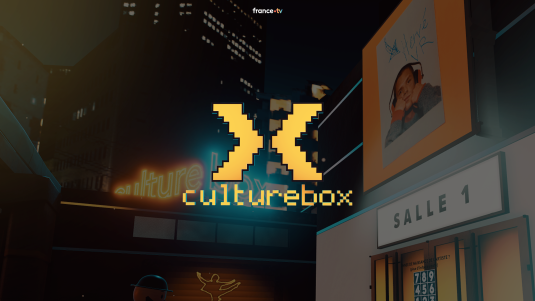Culturebox, embarquez pour une expérience immersive avec le chanteur Hervé