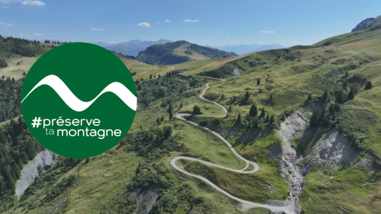 Vallée de montagne en été, sur la photo figure le du logo #préservetamontagne