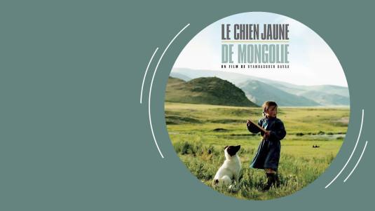 Photo du film Le chien jaune de Mongolie