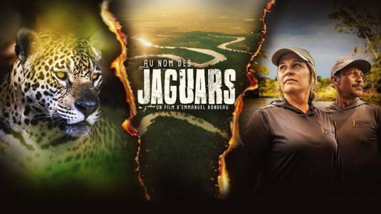 Image du documentaire "Au nom des jaguars"