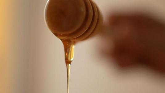 Visuel "Miel : Un « buzziness » florissant"