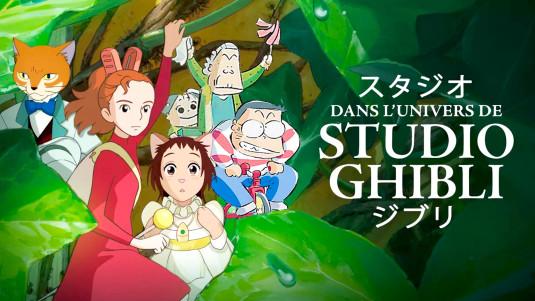 photo L’univers du Studio Ghibli arrive sur France Télévisions