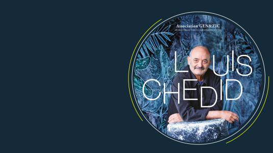 Louis Chedid en concert à Chalon-sur-Saône