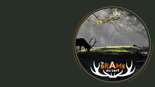 Brame du cerf