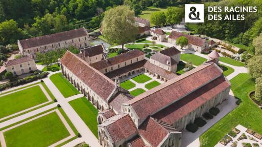 Des racines & des ailes : La Bourgogne, terre de passions