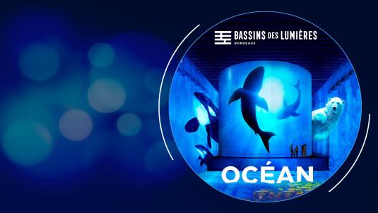 Océan, immersion dans le monde sous-marin aux Bassins de Lumières