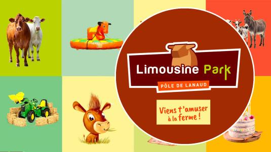 Limousine Park !