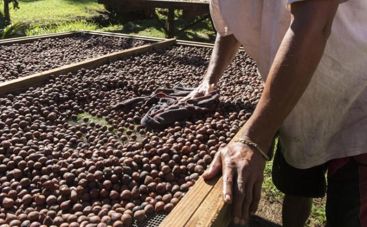 Dispositif spécial du pôle Outre-mer de France Télévisions