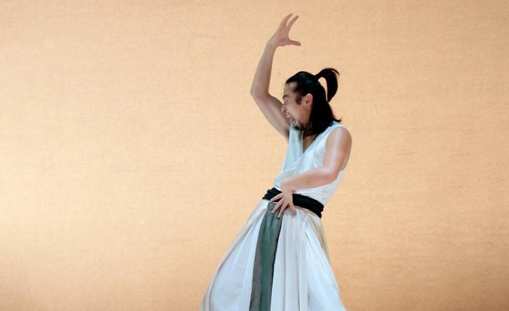 Festival Vaison Danses