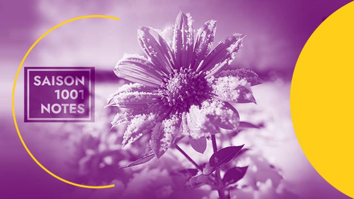 Saison 1001 notes fleur pétales agenda culturel février
