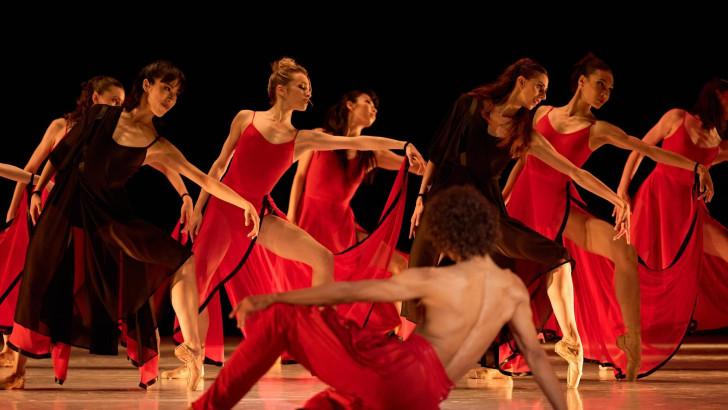 « Béjart, 3 regards »