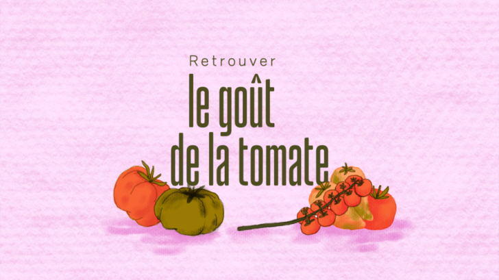 « On va déguster - Retrouver le goût de la tomate »