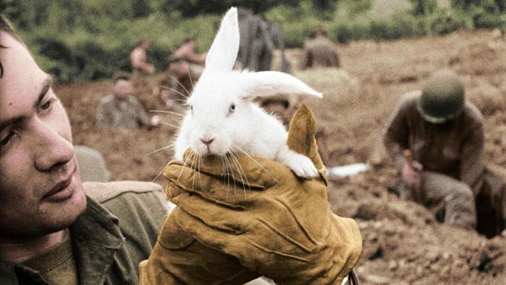 La colorisation d'images demande des milliers d'heures de travail.
