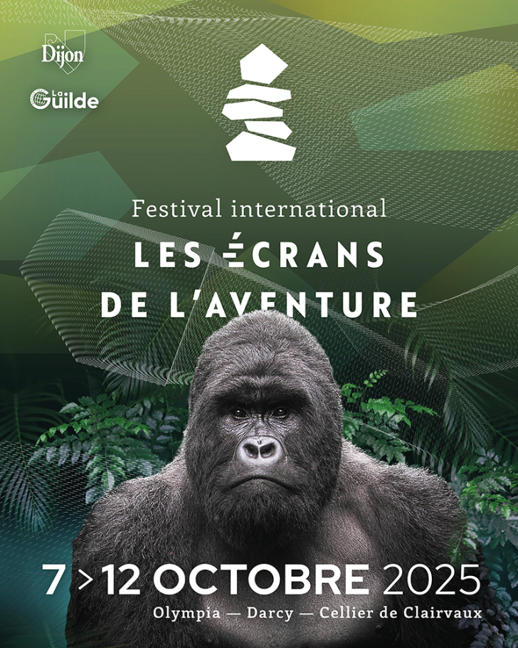 Les écrans de l'aventure