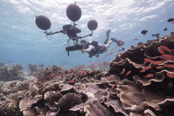 Planète bleue tournage