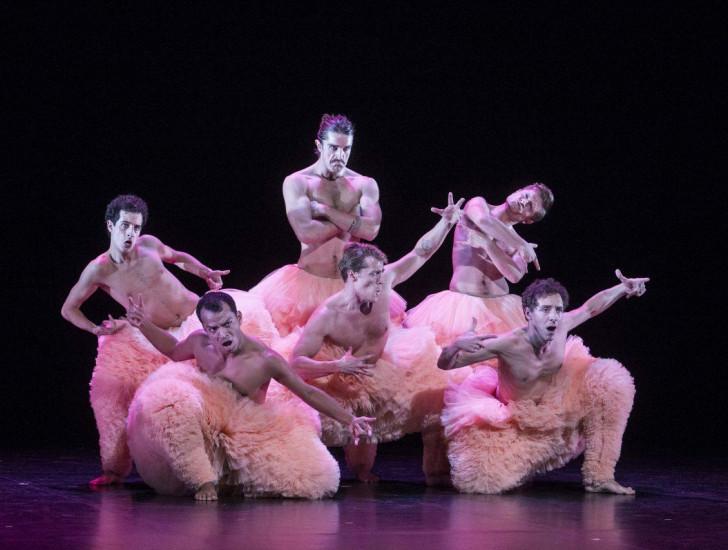 Tutu, Chicos Mambo