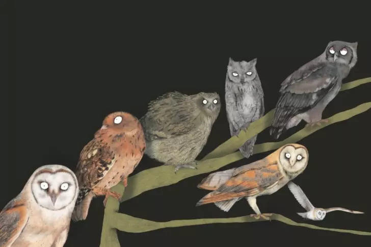 Les animaux dans les livres : rencontres et dédicaces