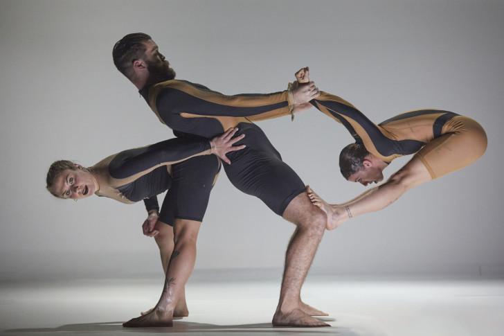 Wolf - La compagnie Circa